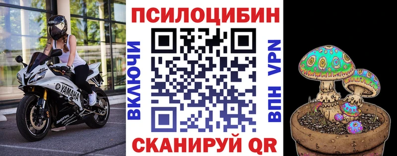 купить наркоту Ярцево кракен сайт Галлюциногенные грибы Psilocybine cubensis